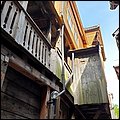 Perla190068.jpg