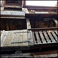 Perla190069.jpg