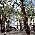 Perla19007.jpg