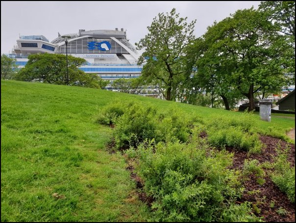 Stavanger19033.jpg