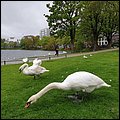 Stavanger19022.jpg