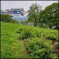 Stavanger19033.jpg