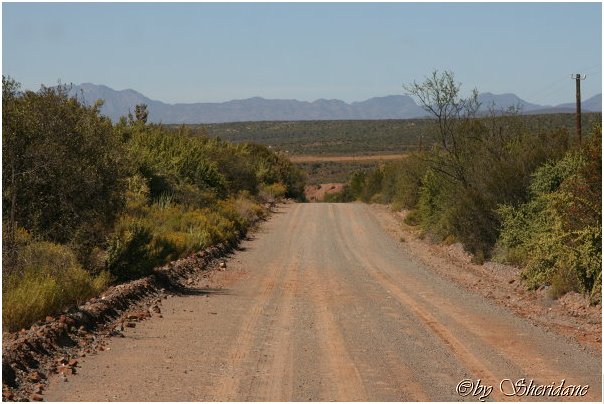Suedafrika199.jpg