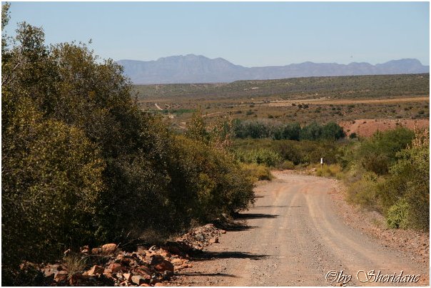 Suedafrika200.jpg