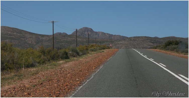 Suedafrika204.jpg