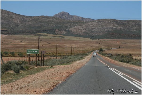 Suedafrika205.jpg