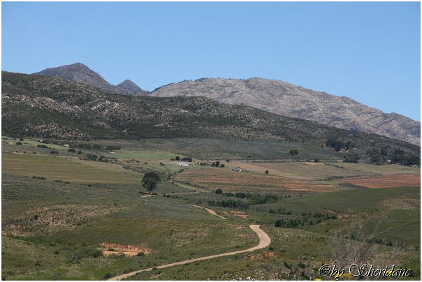 Suedafrika206.jpg