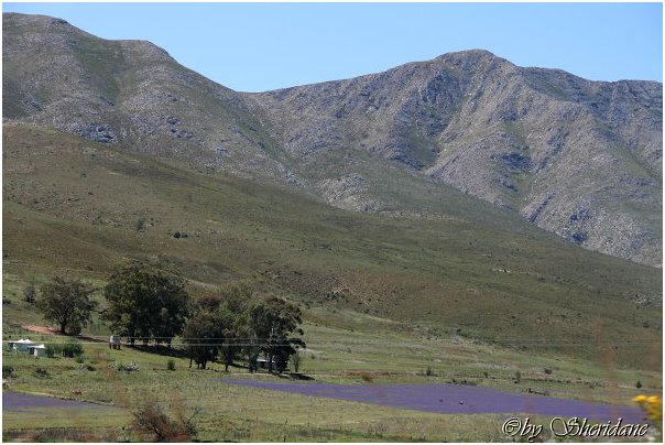 Suedafrika208.jpg