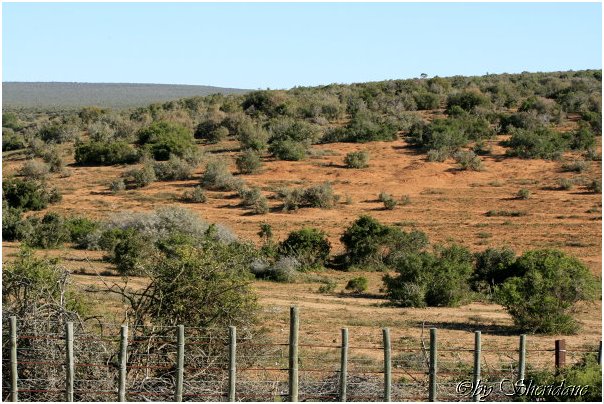 Suedafrika212.jpg