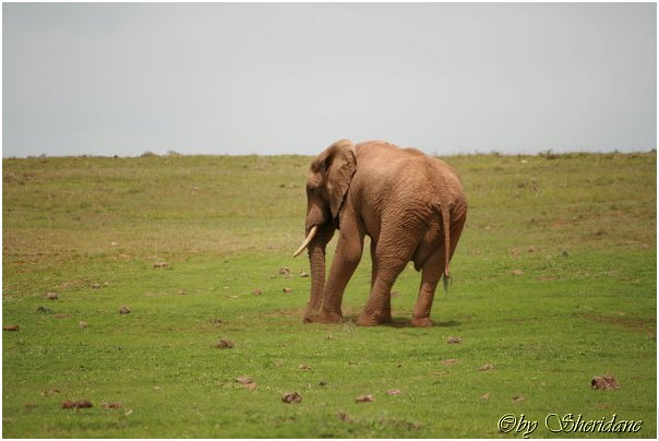 Suedafrika218.jpg