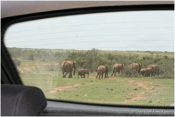 Suedafrika237.jpg