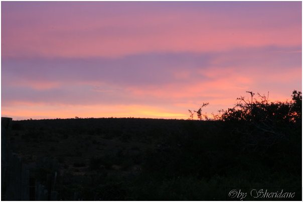 Suedafrika267.jpg