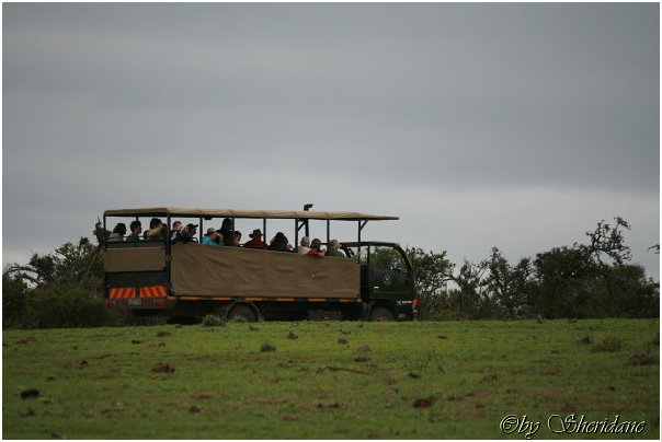 Suedafrika270.jpg