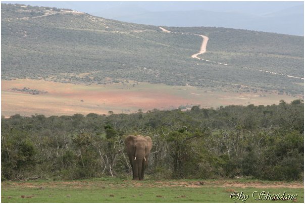 Suedafrika273.jpg