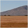 Suedafrika203.jpg