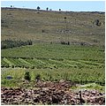 Suedafrika207.jpg