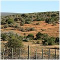 Suedafrika212.jpg