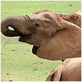 Suedafrika229.jpg