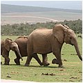Suedafrika230.jpg