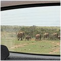 Suedafrika237.jpg