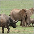 Suedafrika246.jpg