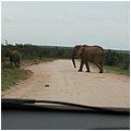 Suedafrika247.jpg