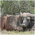 Suedafrika253.jpg