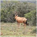 Suedafrika254.jpg