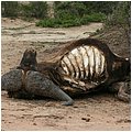 Suedafrika262.jpg