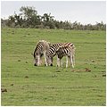 Suedafrika271.jpg