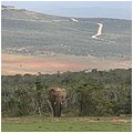 Suedafrika273.jpg