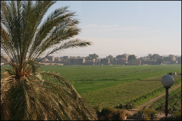 Aegypten047.jpg