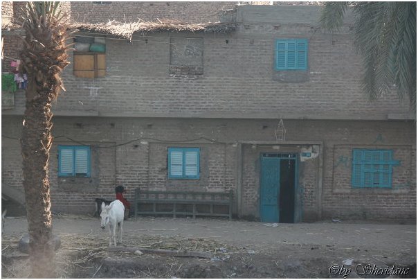 Aegypten048.jpg