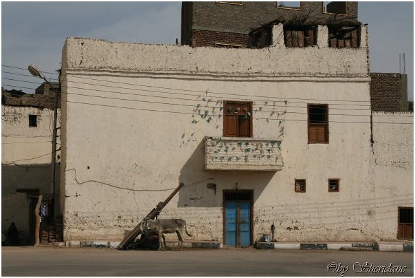 Aegypten078.jpg