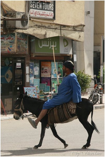 Aegypten081.jpg