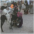 Aegypten045.jpg