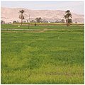 Aegypten089.jpg