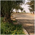 Aegypten015.jpg