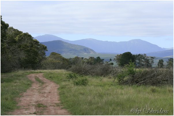 Suedafrika353.jpg