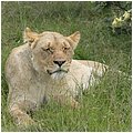 Suedafrika346.jpg