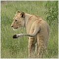 Suedafrika347.jpg