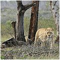 Suedafrika348.jpg