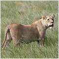 Suedafrika349.jpg