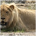 Suedafrika351.jpg