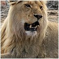 Suedafrika352.jpg