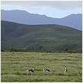 Suedafrika355.jpg