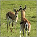 Suedafrika356.jpg