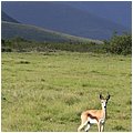 Suedafrika357.jpg