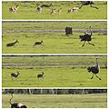 Suedafrika358.jpg