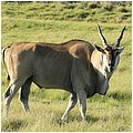 Suedafrika363.jpg